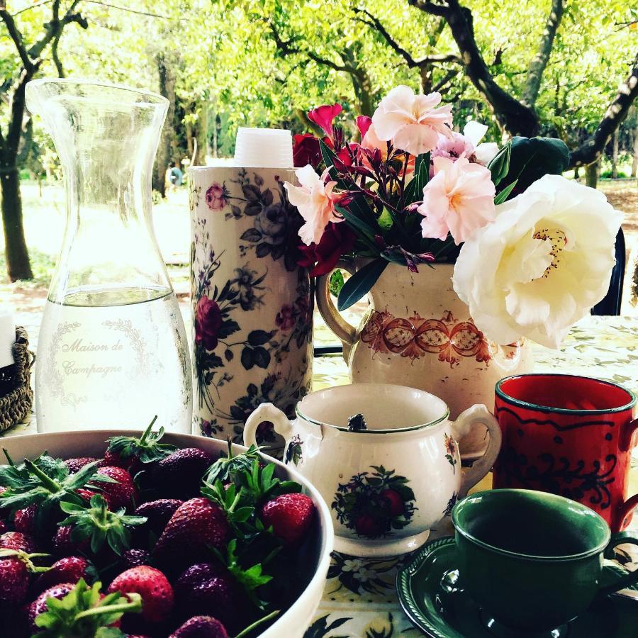 Casina Mozart Lecce Bed & Breakfast Magliano Dış mekan fotoğraf