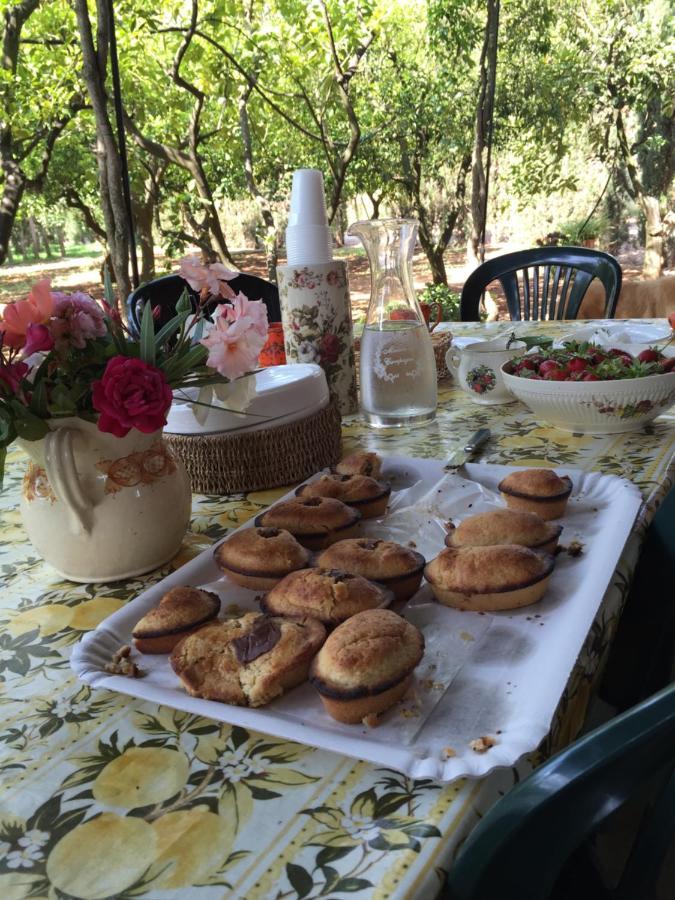Casina Mozart Lecce Bed & Breakfast Magliano Dış mekan fotoğraf