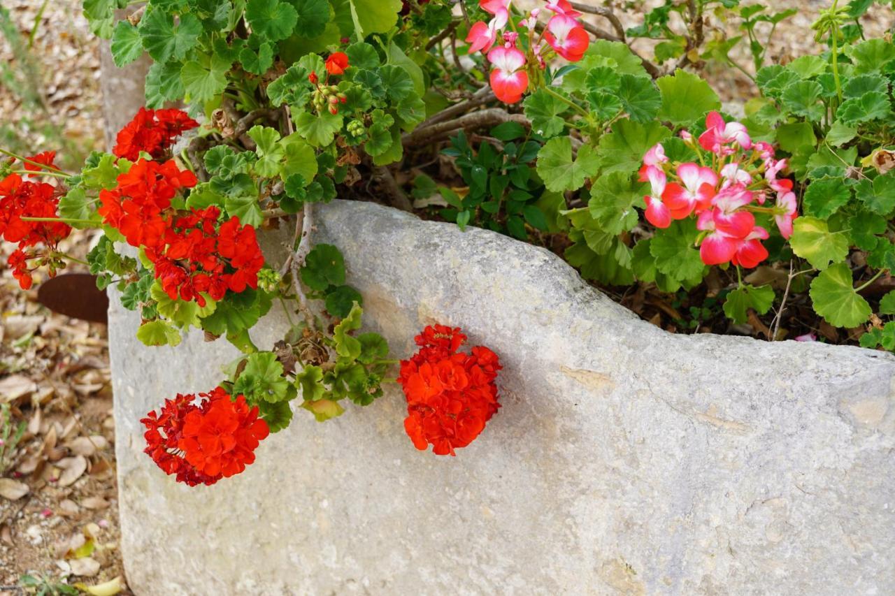 Casina Mozart Lecce Bed & Breakfast Magliano Dış mekan fotoğraf